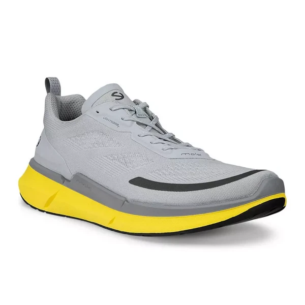 Кроссовки BIOM 2.2 M, серый, арт. 830754/60925