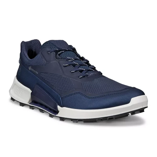 Кроссовки ECCO BIOM 2.1 X MOUNTAIN M, синий, арт. 36149
