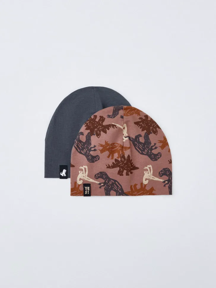 Набор трикотажных шапок для мальчиков, 2 шт., разноцветный, арт. 11189