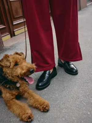 Пенни-лоферы из натуральной кожи, арт. 11985