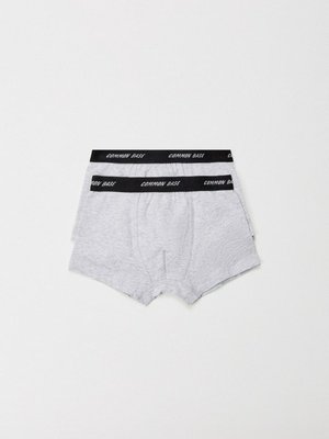 Набор трусов для мальчиков (2 шт.), арт. 12170