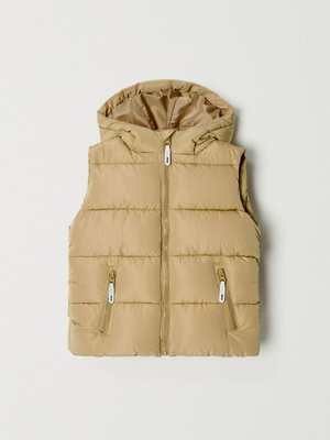 Жилет с капюшоном для мальчиков, арт. 12181