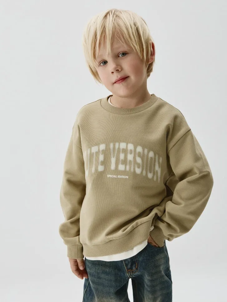 Свитшот с принтом, бежевый, арт. SWT001