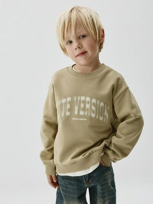 Свитшот с принтом, бежевый, арт. SWT001