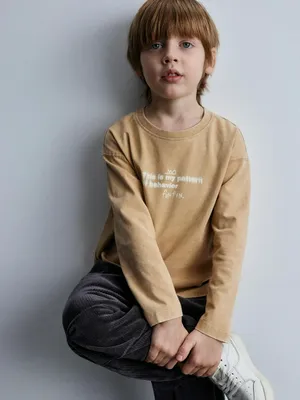 Лонгслив с принтом, бежевый, арт. ART12345