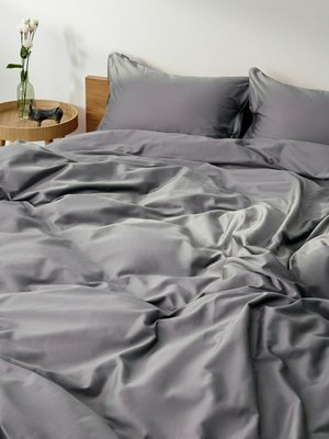 Комплект постельного белья 2-спальный 200х220 см без простыни, серый, арт. kpb2sgr001