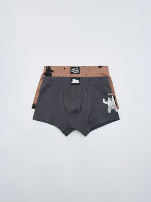 Набор из 2 трусов-боксеров, серый, коричневый, арт. 0001