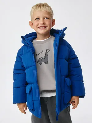 Дутая куртка с капюшоном для мальчиков, синий, арт. 1949