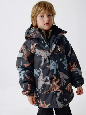 Демисезонная куртка из мембранной ткани Seladrytex для мальчиков, разноцветный, арт. 1976