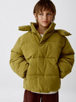 Зимняя куртка с капюшоном для мальчиков, арт. 2058