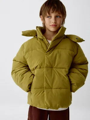 Зимняя куртка с капюшоном для мальчиков, арт. 2058