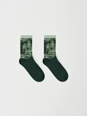 Носки с принтом по мотивам картины Клода Моне, не указан, арт. 2559