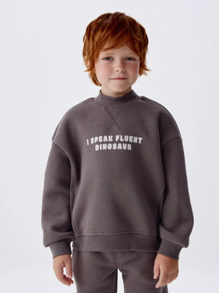 Свитшот с воротником для мальчиков, серый, арт. 2899