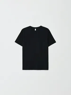 Футболка SELA ADAM SLIM FIT базовая, арт. 33039