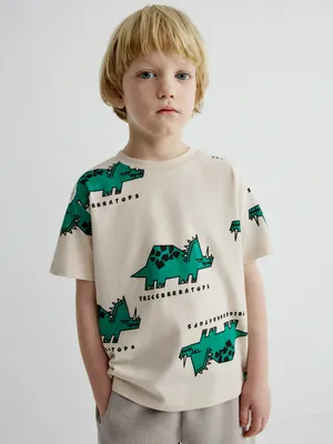 Футболка SELA с принтом для мальчиков, арт. 33704