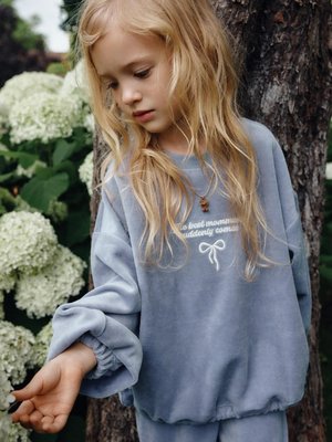 Свитшот из велюра с вышивкой для девочек, арт. 3685