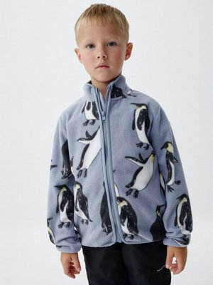 Флисовая толстовка для мальчиков, арт. 3707