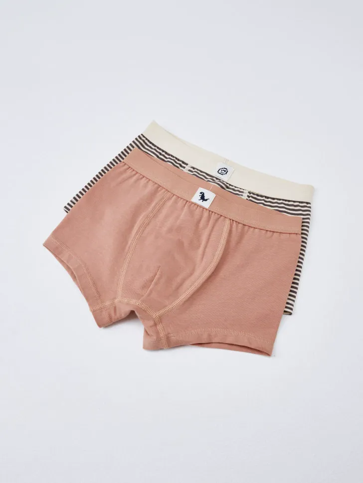 Набор из 2 трусов-боксеров для мальчиков, разноцветный, арт. 3769