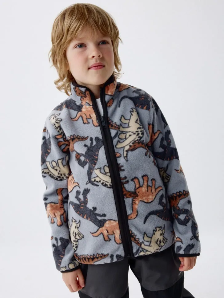 Флисовая толстовка с принтом для мальчиков, голубой, арт. 4569