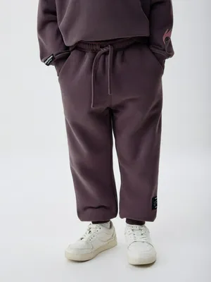 Базовые джоггеры с патчем для мальчиков, фиолетовый, арт. 4643