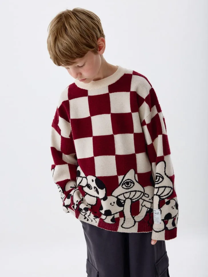 Жаккардовый джемпер для мальчиков, разноцветный, арт. 4747