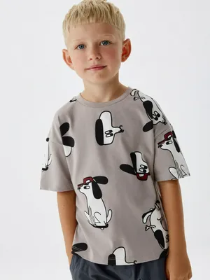 Футболка с принтом для мальчиков, серый, арт. 4782