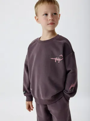 Свитшот с принтом для мальчиков, арт. 4795