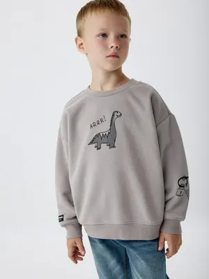 Свитшот с принтом для мальчиков, арт. 4809