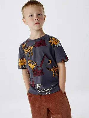 Футболка с принтом для мальчиков, серый, арт. 4858