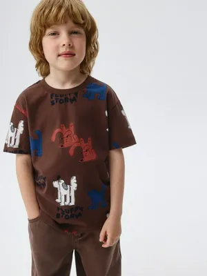 Футболка с принтом для мальчиков, коричневый, арт. 4866