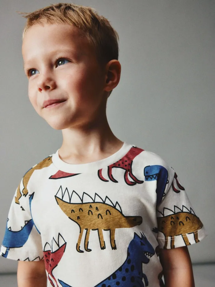 Набор из 2 футболок для мальчиков, разноцветный, арт. 4903