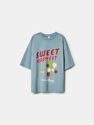 Футболка оверсайз Sela с принтом Sweet Harvest, голубой, арт. 49696
