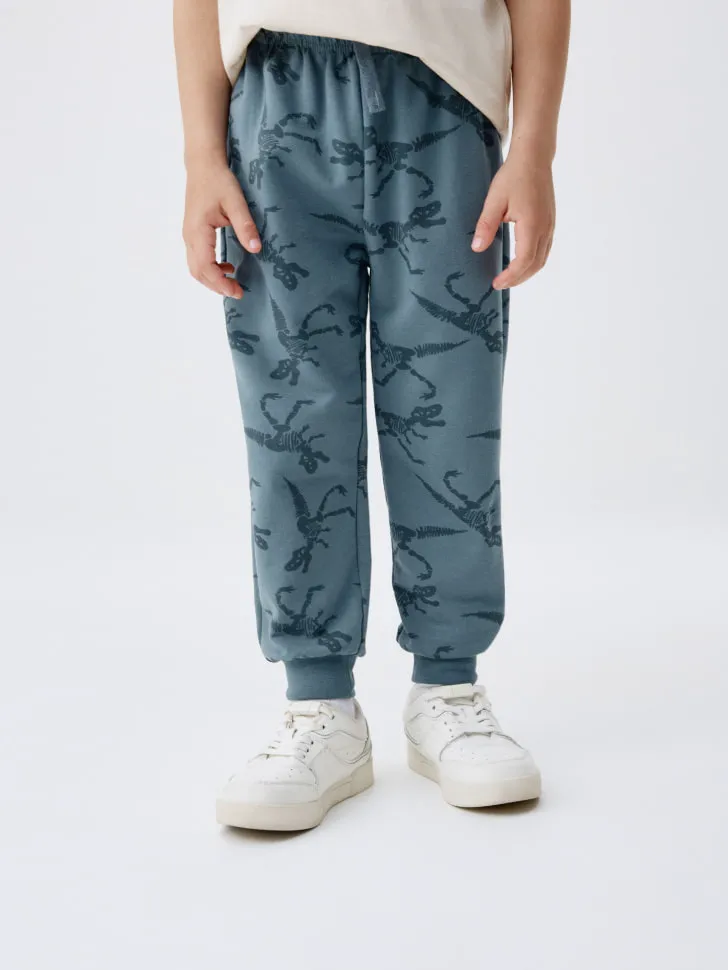 Набор из 2 джоггеров для мальчиков, голубой, арт. 5788