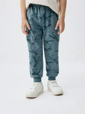 Набор из 2 джоггеров для мальчиков, голубой, арт. 5788