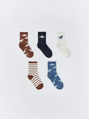 Набор из 5 пар носков для мальчиков, арт. 6013