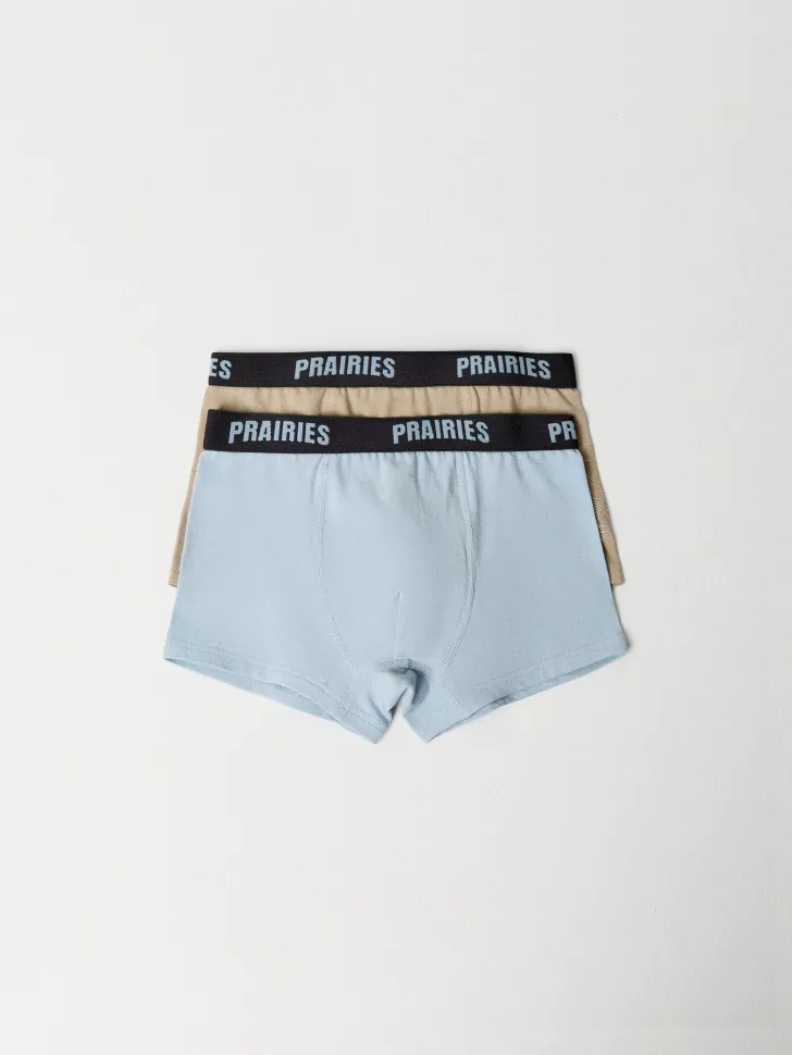 Набор из 2 трусов-боксеров для мальчиков, разноцветный, арт. 6079