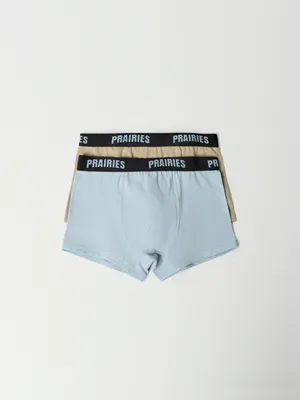 Набор из 2 трусов-боксеров для мальчиков, разноцветный, арт. 6079