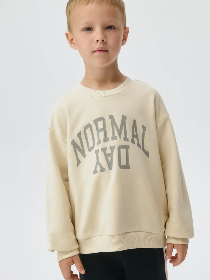 Свитшот с принтом для мальчиков, бежевый, арт. 6269