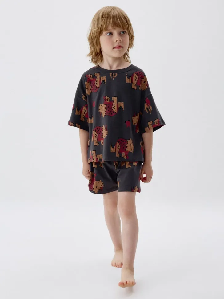 Пижама с принтом для мальчиков, разноцветный, арт. 6283