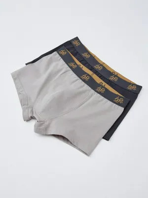 Набор из 2 трусов-боксеров для мальчиков, разноцветный, арт. 6397