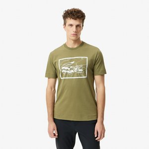 Мужская хлопковая футболка Lacoste REGULAR FIT