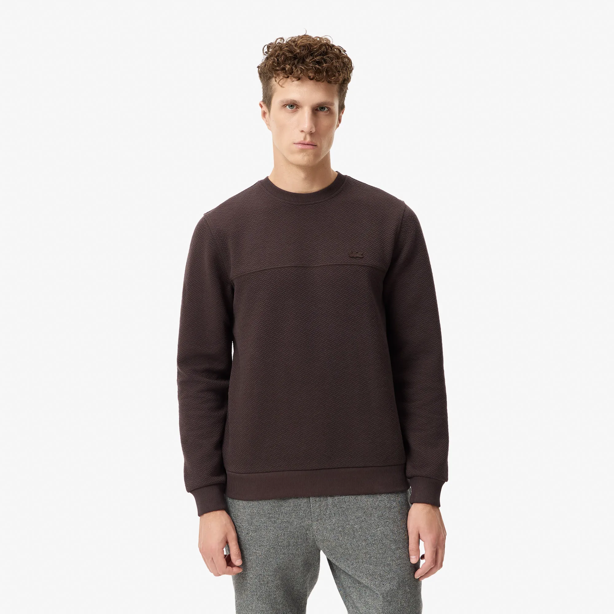 Мужской свитшот Lacoste Regular Fit, коричневый, арт. th2333