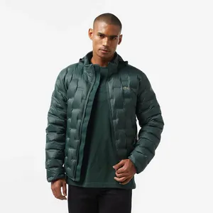 Мужская стёганая куртка Lacoste со скрытым капюшоном, не указан, арт. 11408