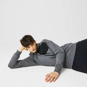 Мужская толстовка Lacoste Regular Fit, серый, арт. SH0226