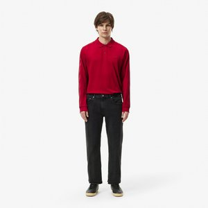Мужские брюки Lacoste, серый, арт. hh2652