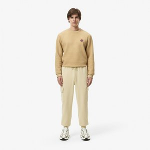 Хлопковые спортивные брюки Lacoste REGULAR FIT, бежевый, арт. xh2601