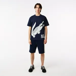 Мужские шорты Lacoste Colorblock, синий, арт. GH0408