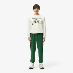Мужские хлопковые спортивные брюки Lacoste, зеленый, арт. XH2602