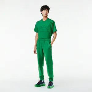 Мужские спортивные брюки Lacoste, зеленый, арт. XH2101