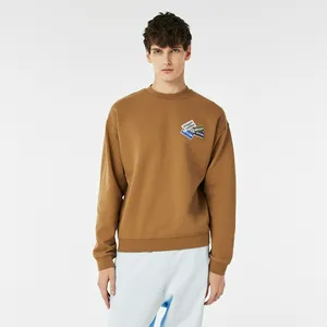 Мужская толстовка Lacoste, коричневый, арт. SH2060F